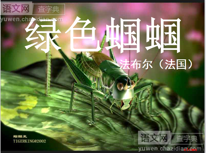 《绿色蝈蝈》
