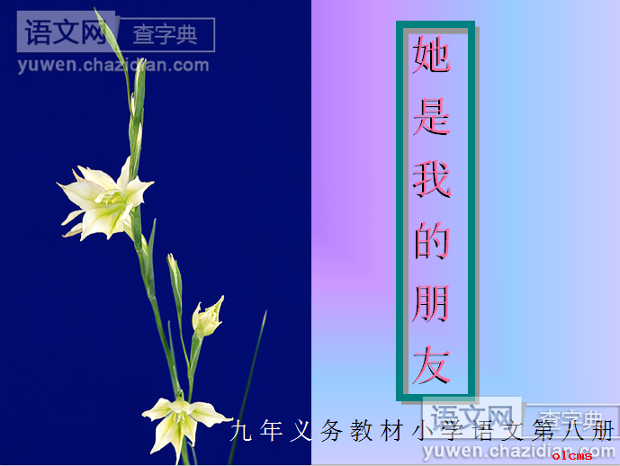 她是我的朋友课件
