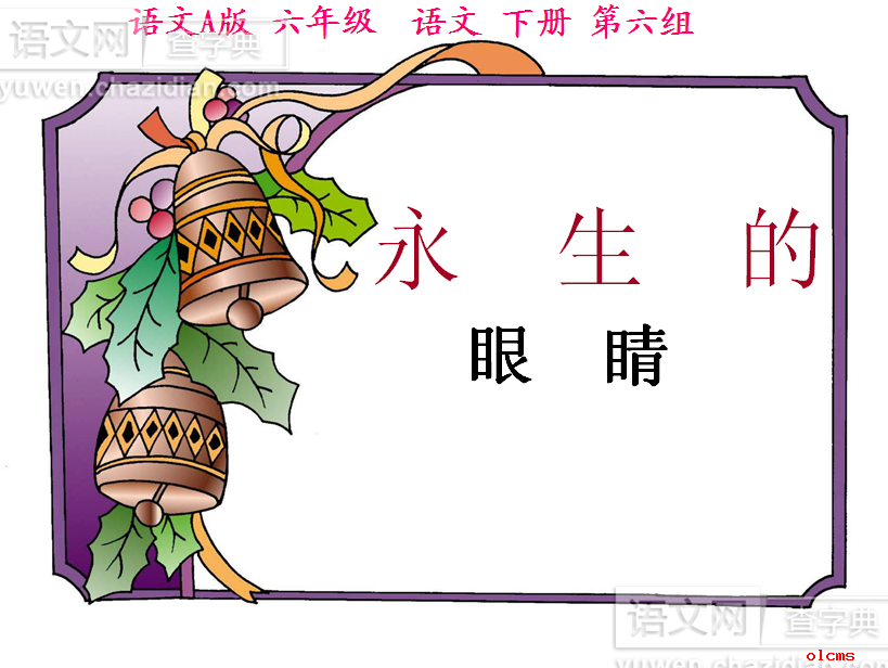 永生的眼睛课件PPT