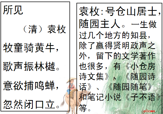 《所见》课件ppt