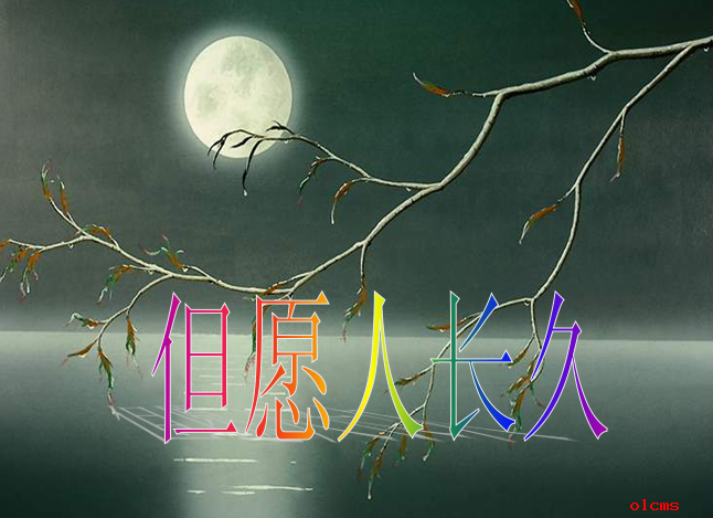 但愿人长久教学课件