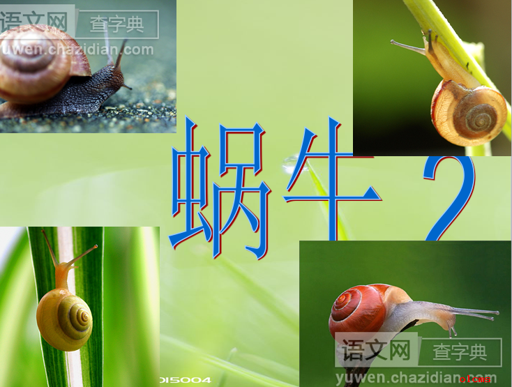 蜗牛课件下载