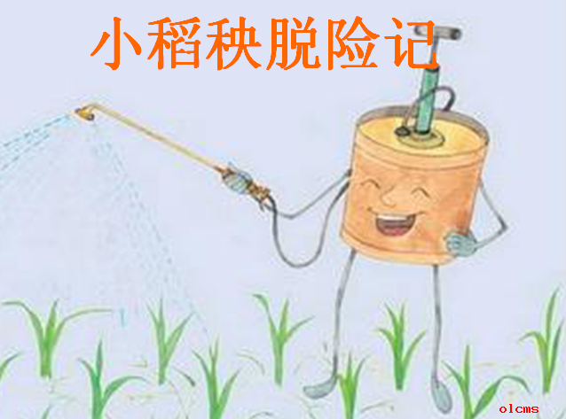小稻秧脱险记第一课时课件