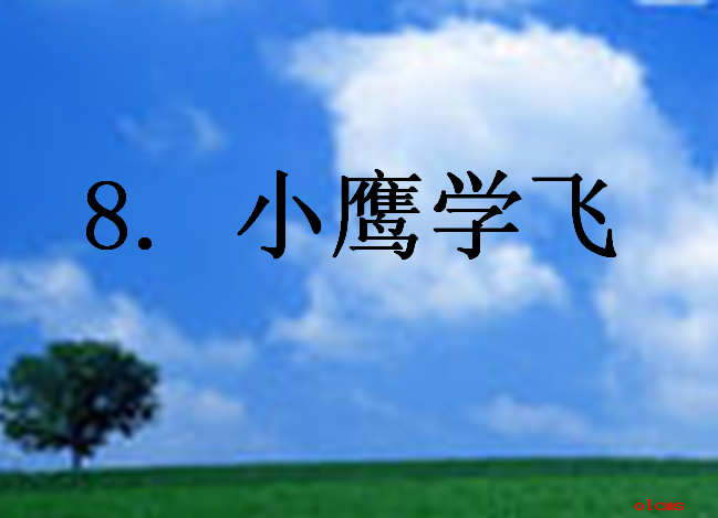 小鹰学飞课件ppt