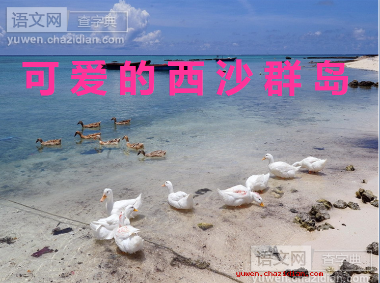 可爱的西沙群岛优秀课件