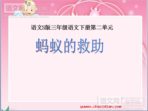 蚂蚁的救助课件