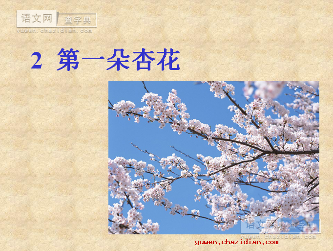 《第一朵杏花》教学课件