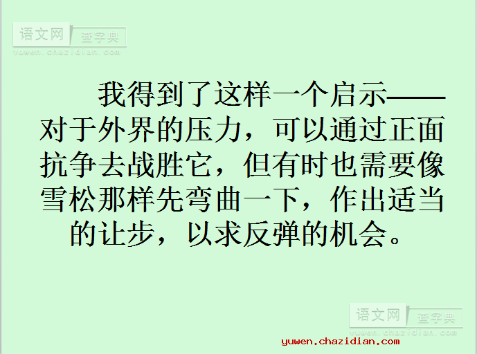 《山谷中的谜底》ppt课件